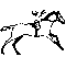 Race Horse